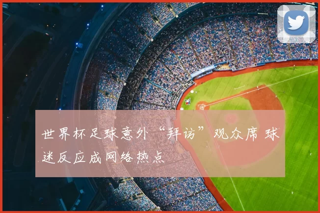 世界杯足球意外“拜访”观众席 球迷反应成网络热点