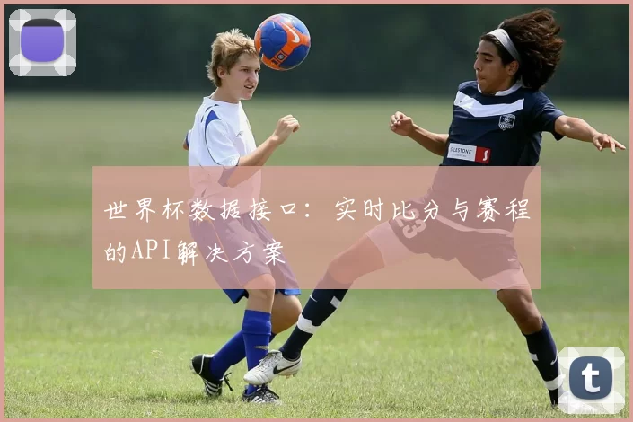 世界杯数据接口：实时比分与赛程的API解决方案
