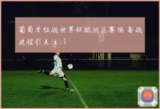 葡萄牙征战世界杯欧洲区赛场 备战进程引关注_1