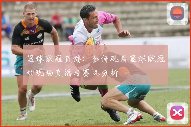 篮球欧冠直播：如何观看篮球欧冠的现场直播与赛况分析
