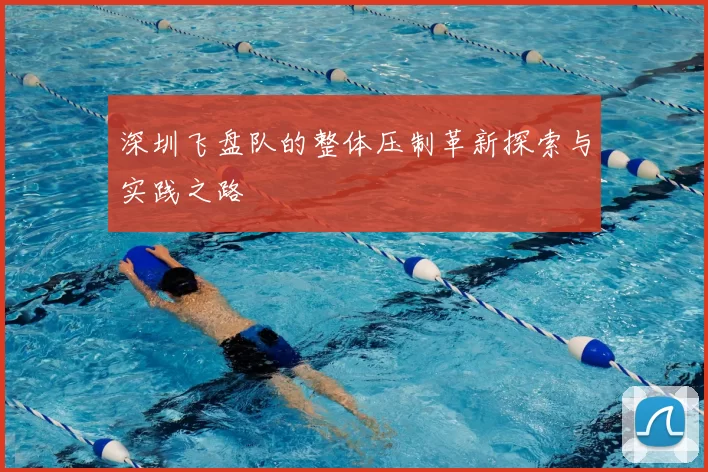 深圳飞盘队的整体压制革新探索与实践之路