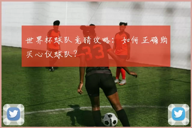 世界杯球队竞猜攻略：如何正确购买心仪球队？