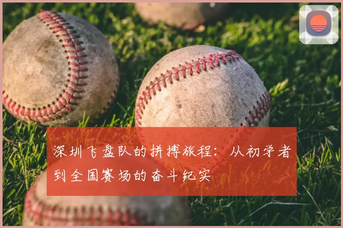 深圳飞盘队的拼搏旅程:从初学者到全国赛场的奋斗纪实