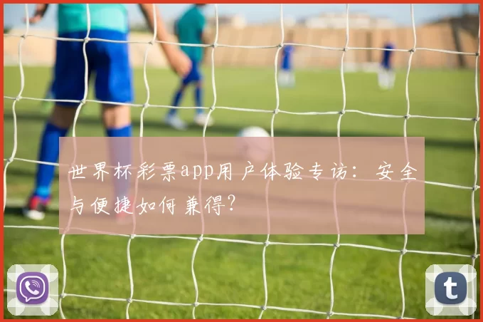 世界杯彩票app用户体验专访：安全与便捷如何兼得？
