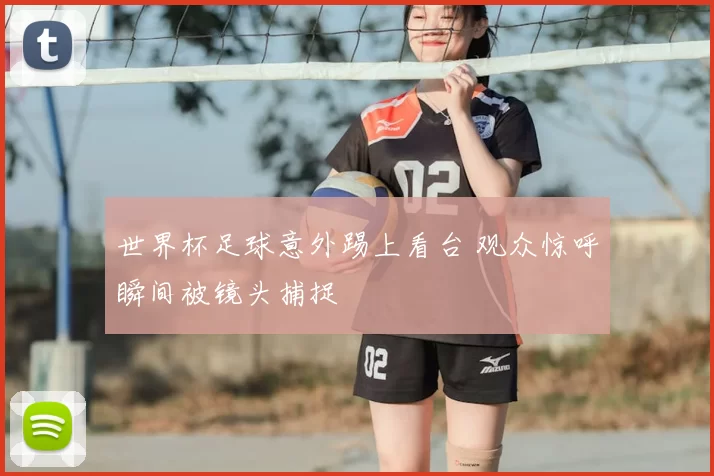 世界杯足球意外踢上看台 观众惊呼瞬间被镜头捕捉
