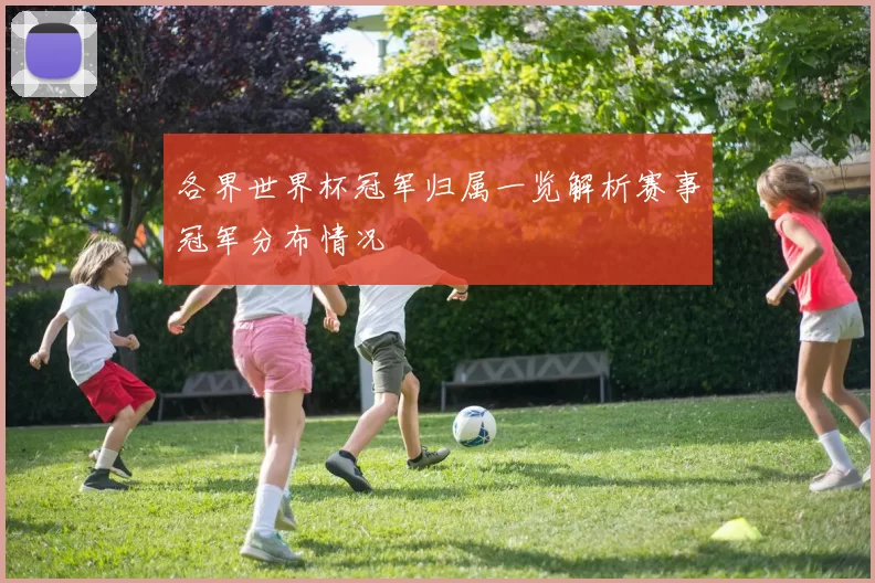 各界世界杯冠军归属一览解析赛事冠军分布情况