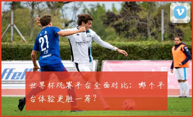 世界杯观赛平台全面对比：哪个平台体验更胜一筹？