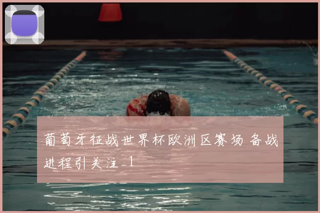 葡萄牙征战世界杯欧洲区赛场 备战进程引关注_1