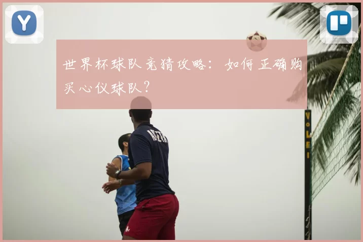 世界杯球队竞猜攻略：如何正确购买心仪球队？