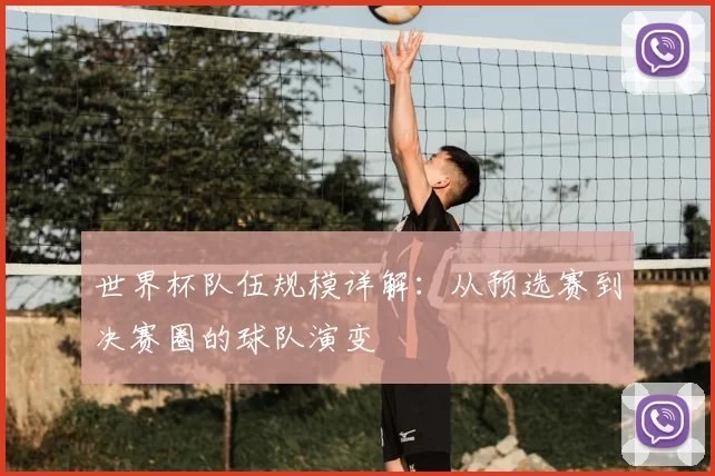 世界杯队伍规模详解:从预选赛到决赛圈的球队演变