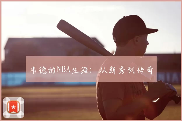 韦德的NBA生涯:从新秀到传奇